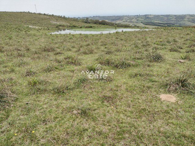 Atenção pecuarista área de pecuária em Caçapava excelente localização — Campo à venda em Cidade Jardim, Caçapava do Sul/RS
