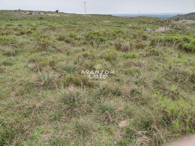 Atenção pecuarista área de pecuária em Caçapava excelente localização — Campo à venda em Cidade Jardim, Caçapava do Sul/RS