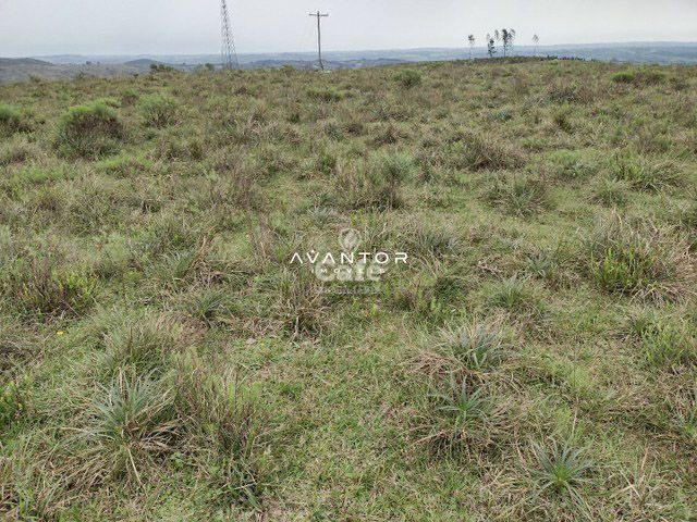 Atenção pecuarista área de pecuária em Caçapava excelente localização — Campo à venda em Cidade Jardim, Caçapava do Sul/RS