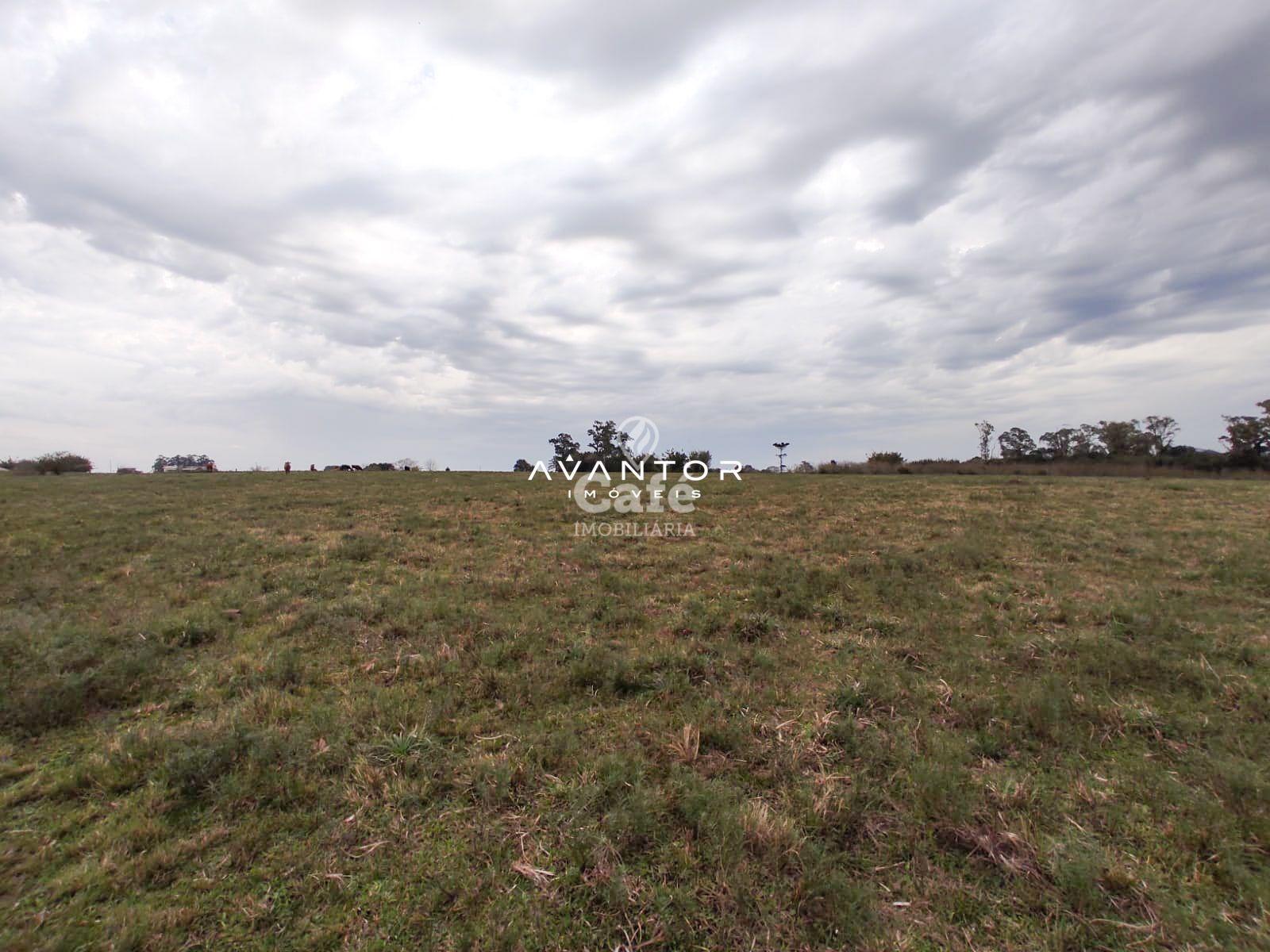 Campo à venda em Pains, Santa Maria/RS — foto 6 de 11