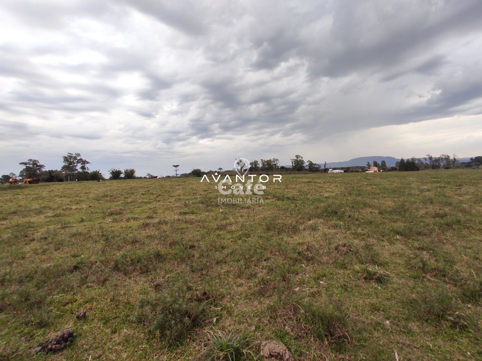 Campo à venda em Pains, Santa Maria/RS — foto 7 de 11