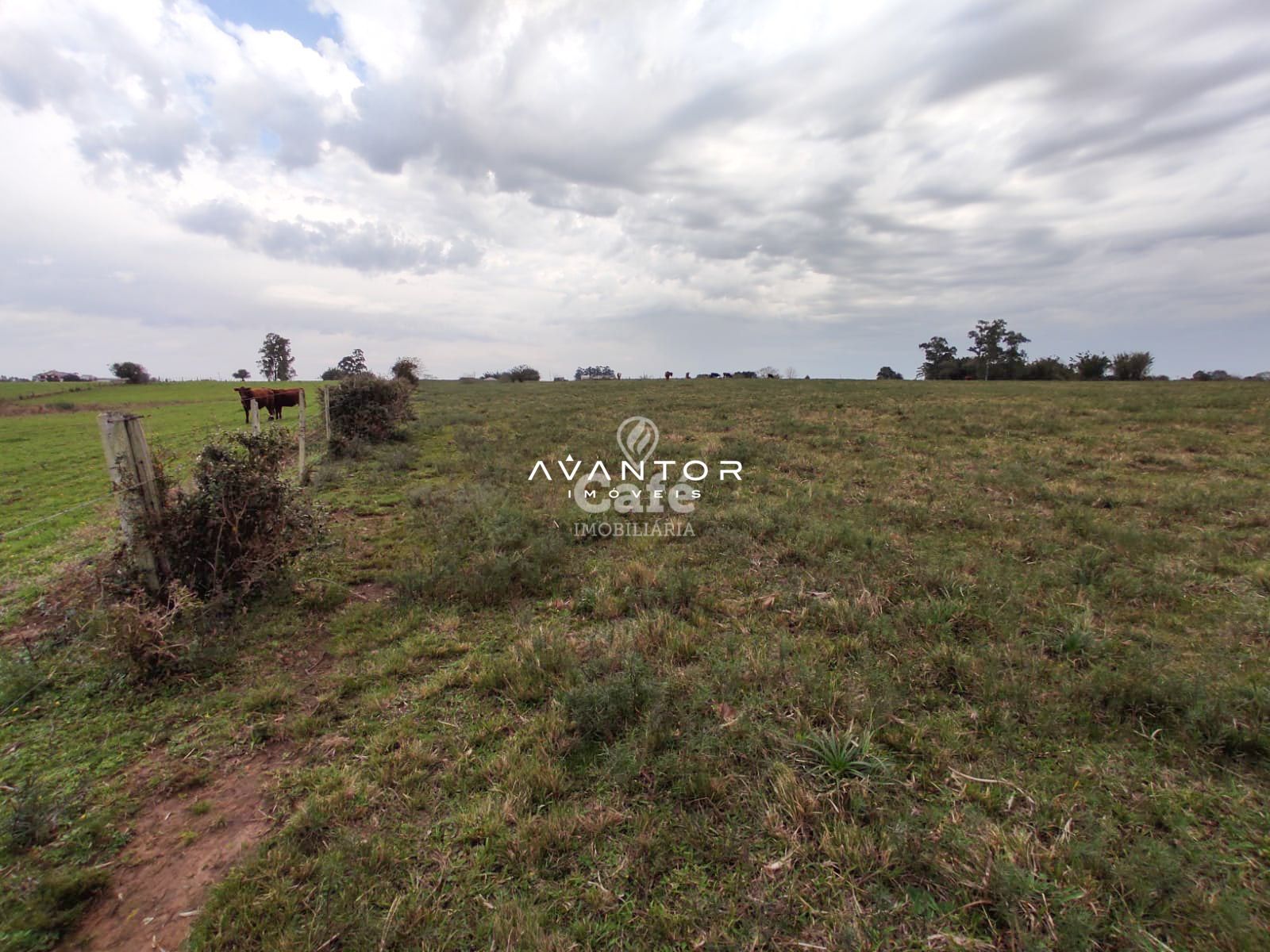 Campo à venda em Pains, Santa Maria/RS — foto 8 de 11
