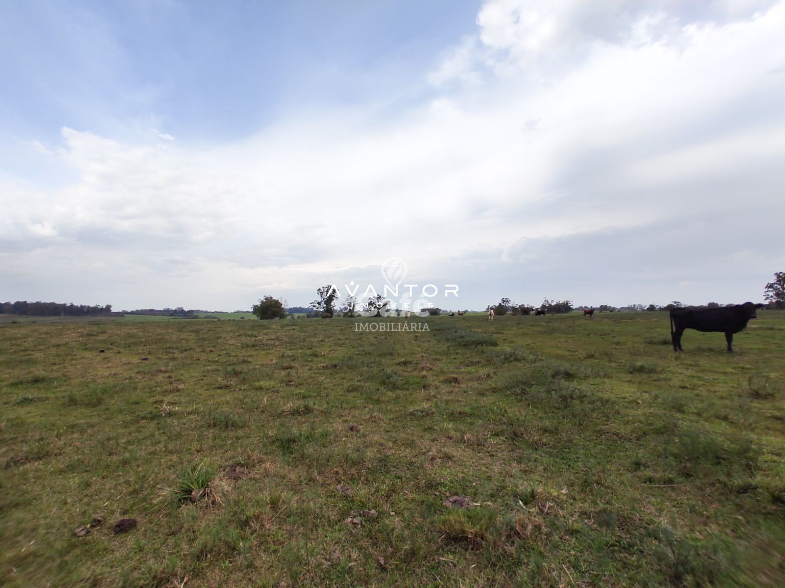 Campo à venda em Pains, Santa Maria/RS — foto 10 de 11