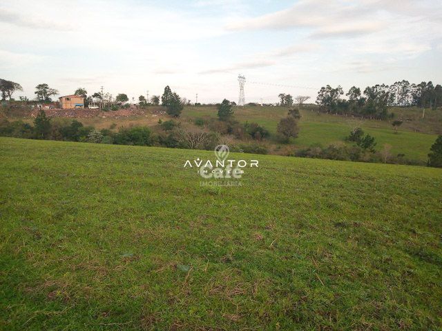 Campo à venda em Caturrita, Santa Maria/RS — foto 5 de 8