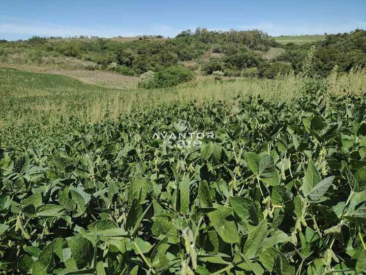 Campo à venda em Centro, Quevedos/RS — foto 5 de 9
