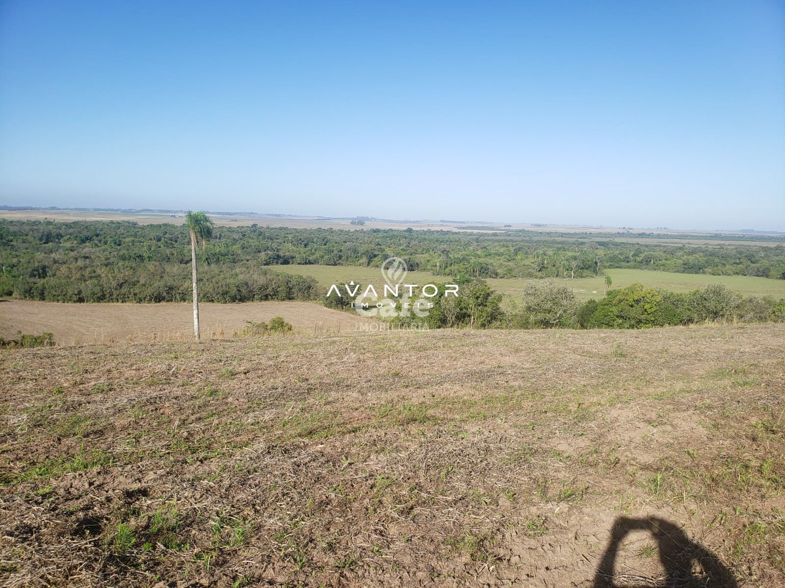 Ótima oportunidade de campo próximo a Santa Maria — Campo à venda em Passo das Tropas, Santa Maria/RS