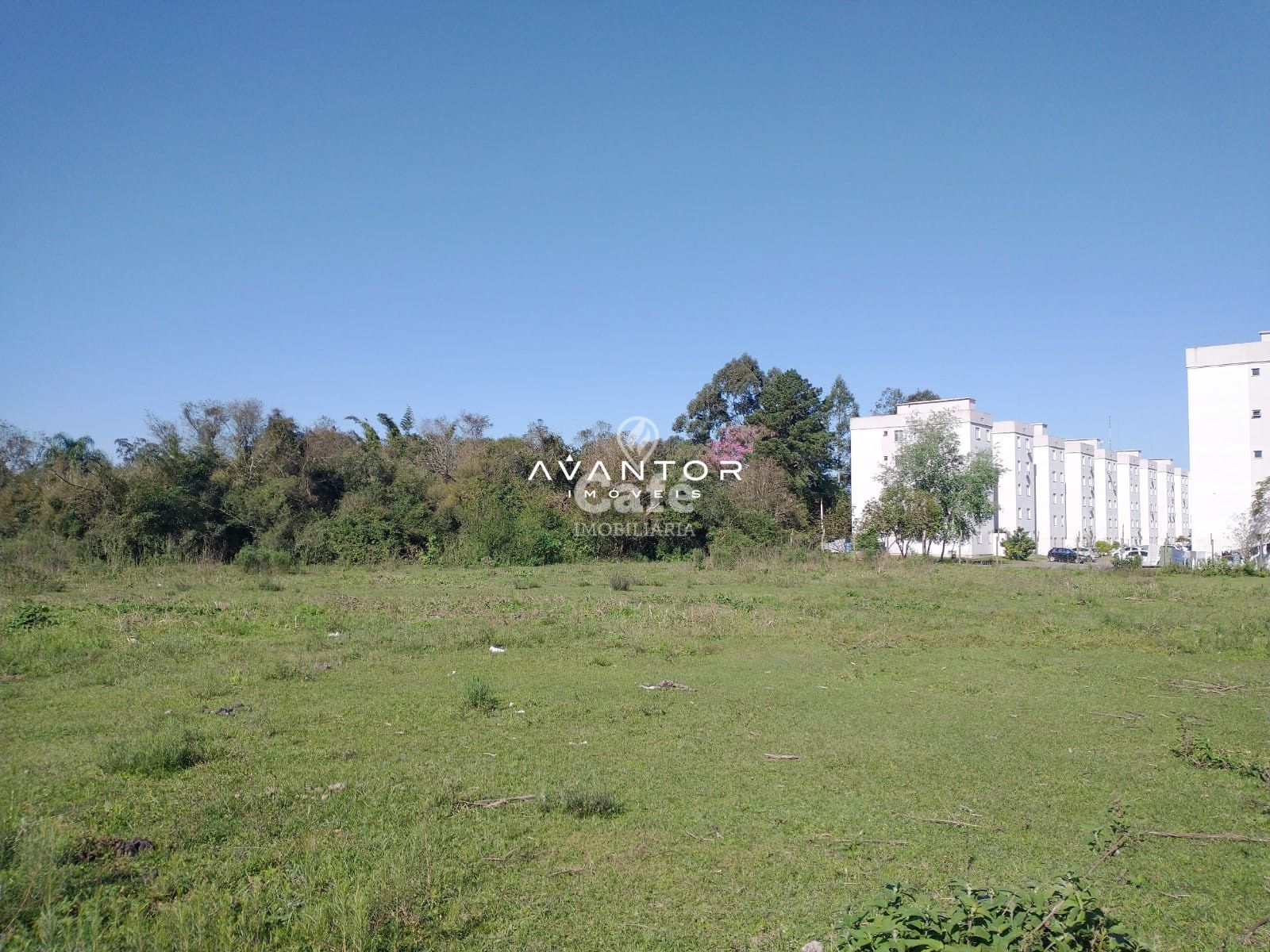 Terreno à venda em Passo D'Areia, Santa Maria/RS — foto 3 de 5