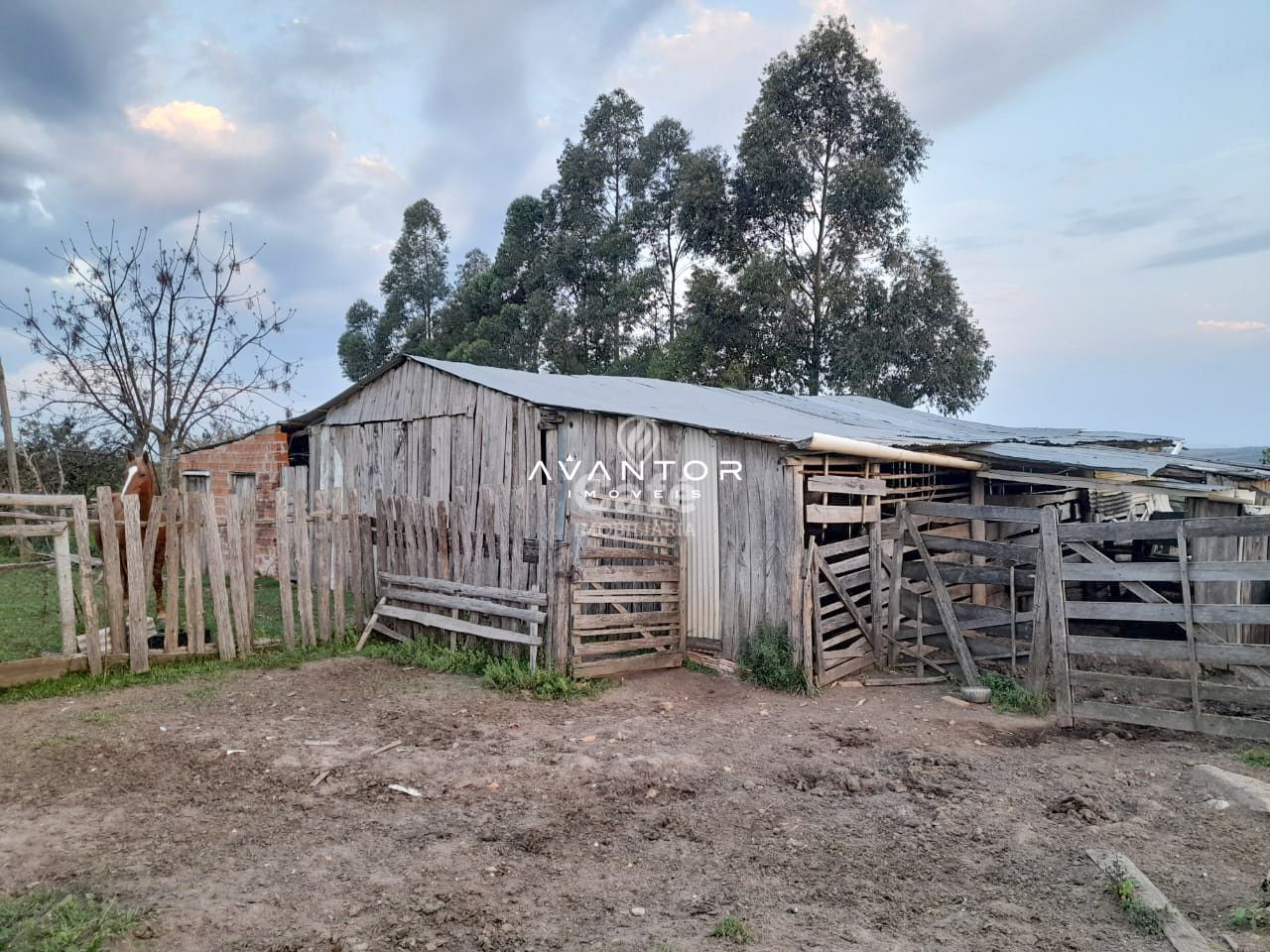 Chácara com 3 quartos à venda em Zona Rural, São Sepé/RS — foto 8 de 9