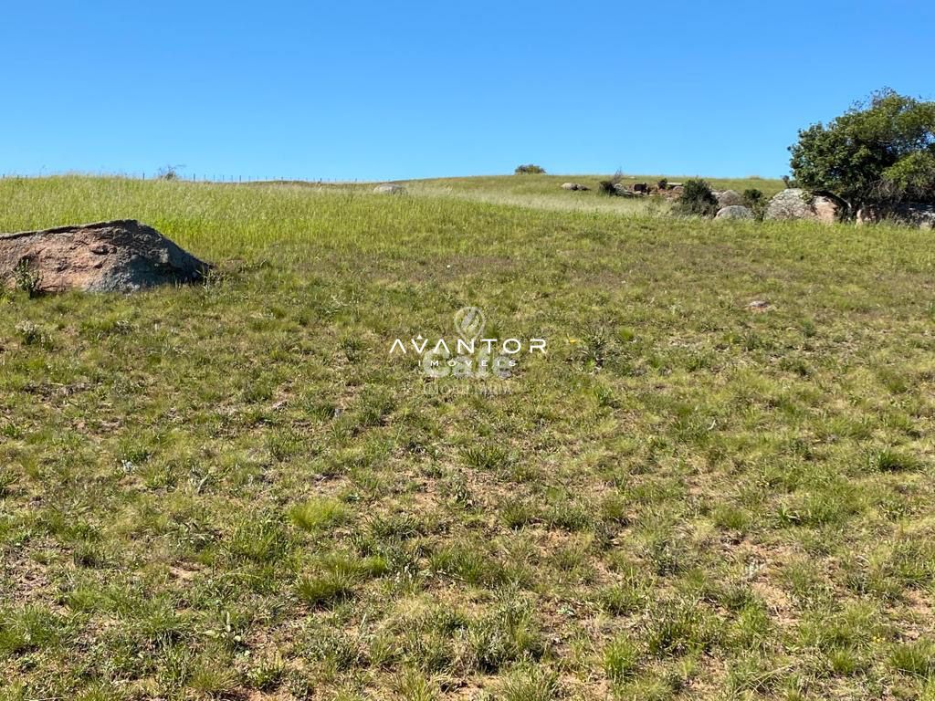 Campo à venda em Interior, São Sepé/RS — foto 3 de 12