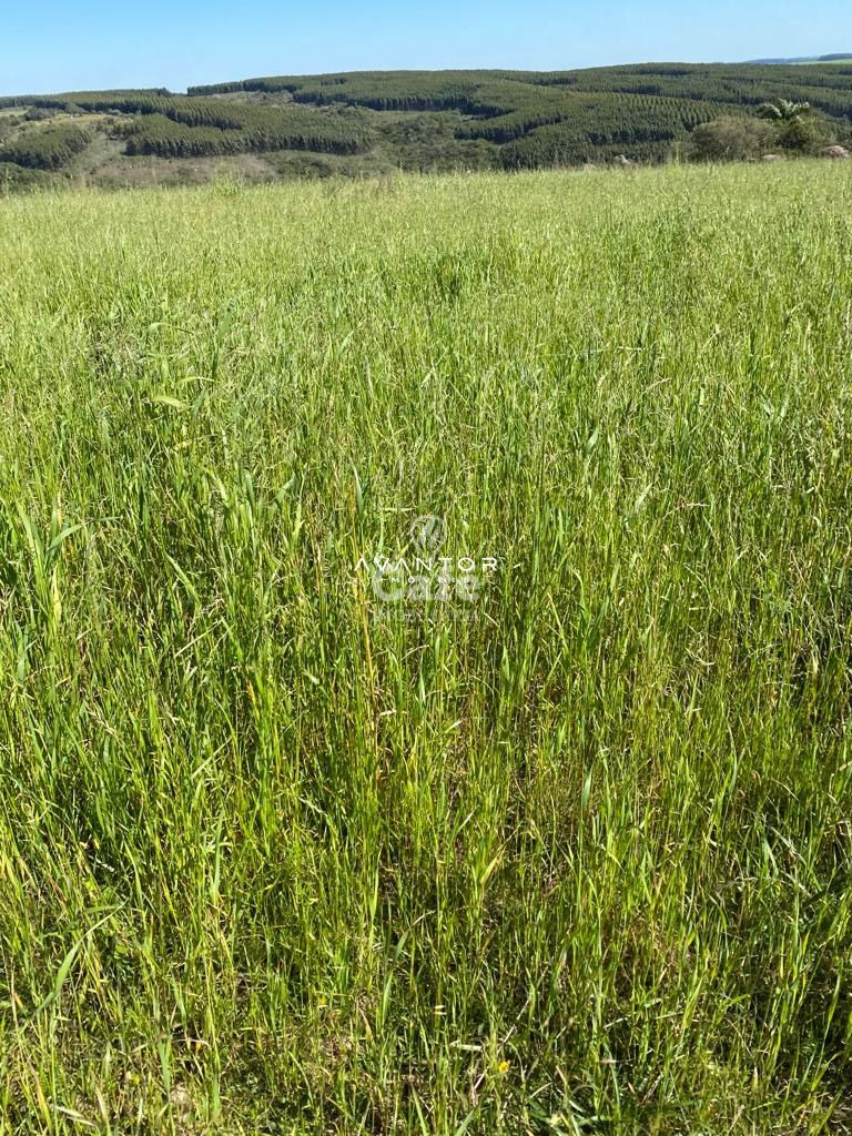 Campo à venda em Interior, São Sepé/RS — foto 10 de 12