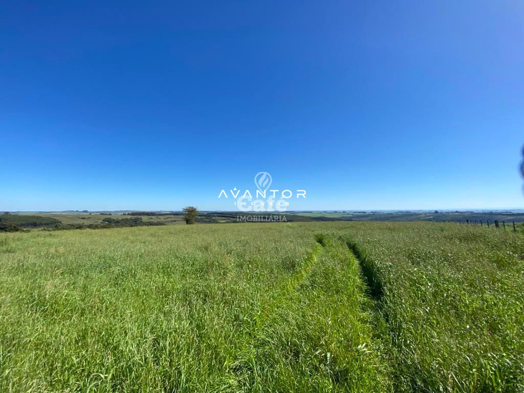 Campo à venda em Interior, São Sepé/RS — foto 11 de 12