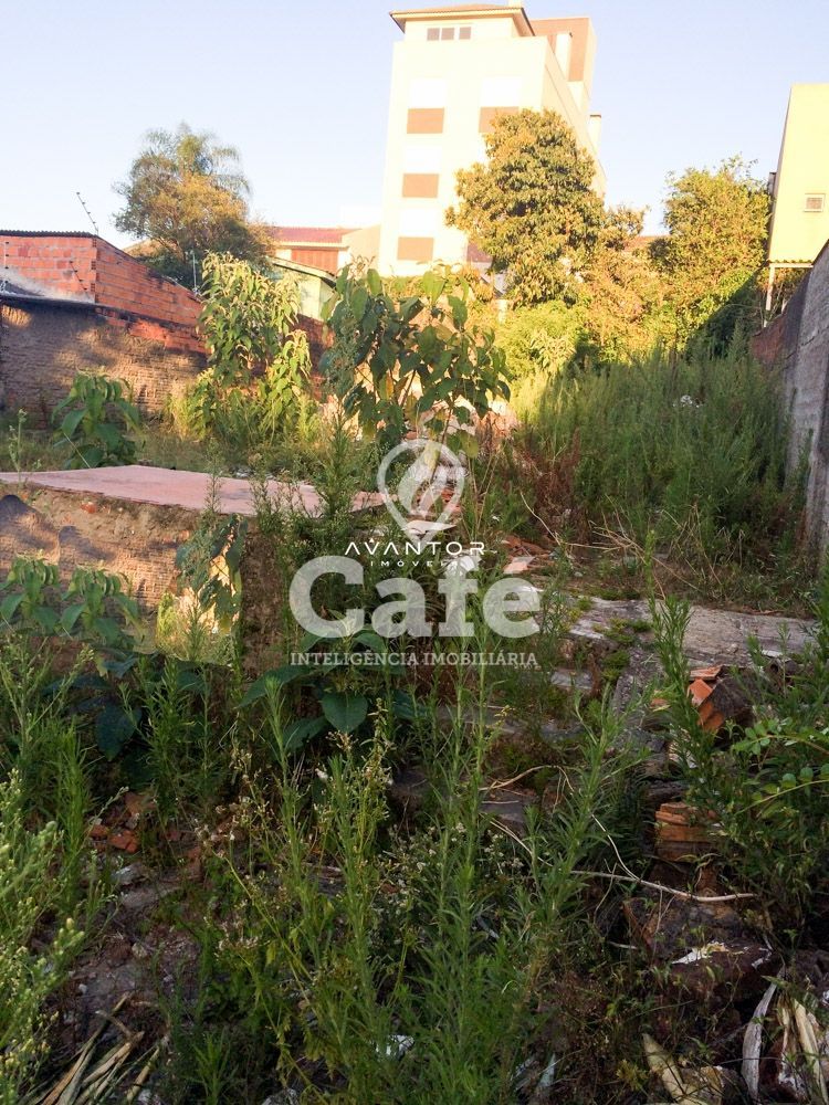 Terreno à venda em Menino Jesus, Santa Maria/RS — foto 3 de 3